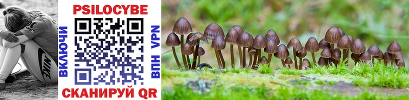 kraken ссылки  Ялуторовск  Галлюциногенные грибы Cubensis 